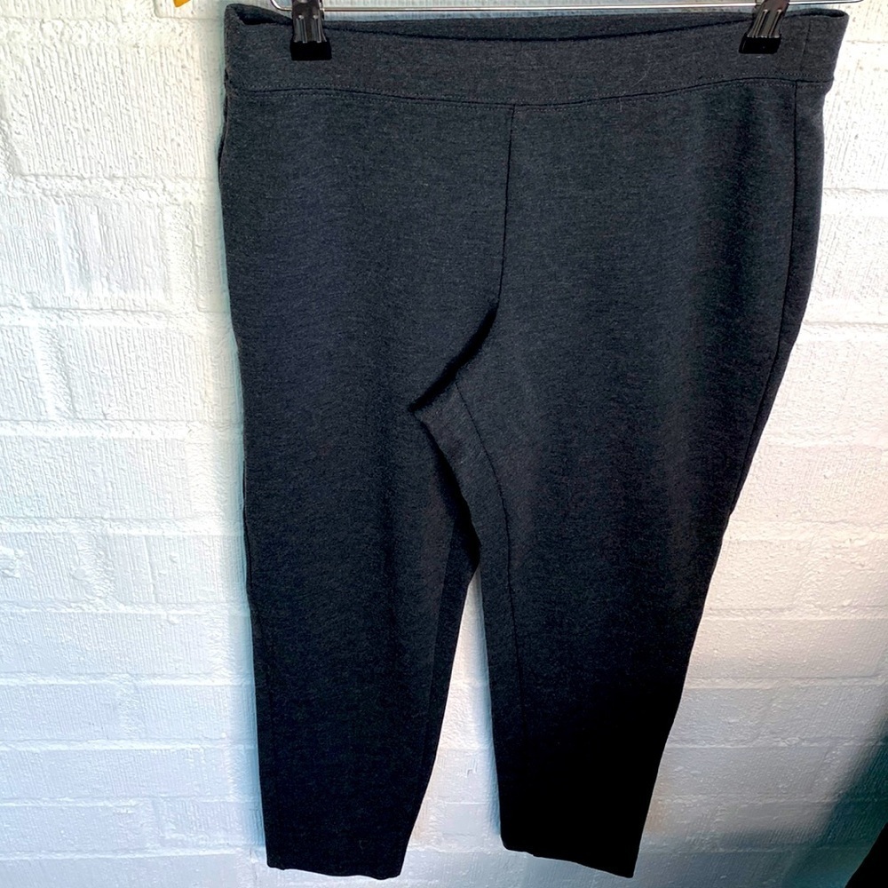 Talbots Lined Stretch Structured Leggings Pants sz MP